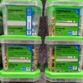 1519016-5 12 pcs. Packages of strip concrete screws, Essve